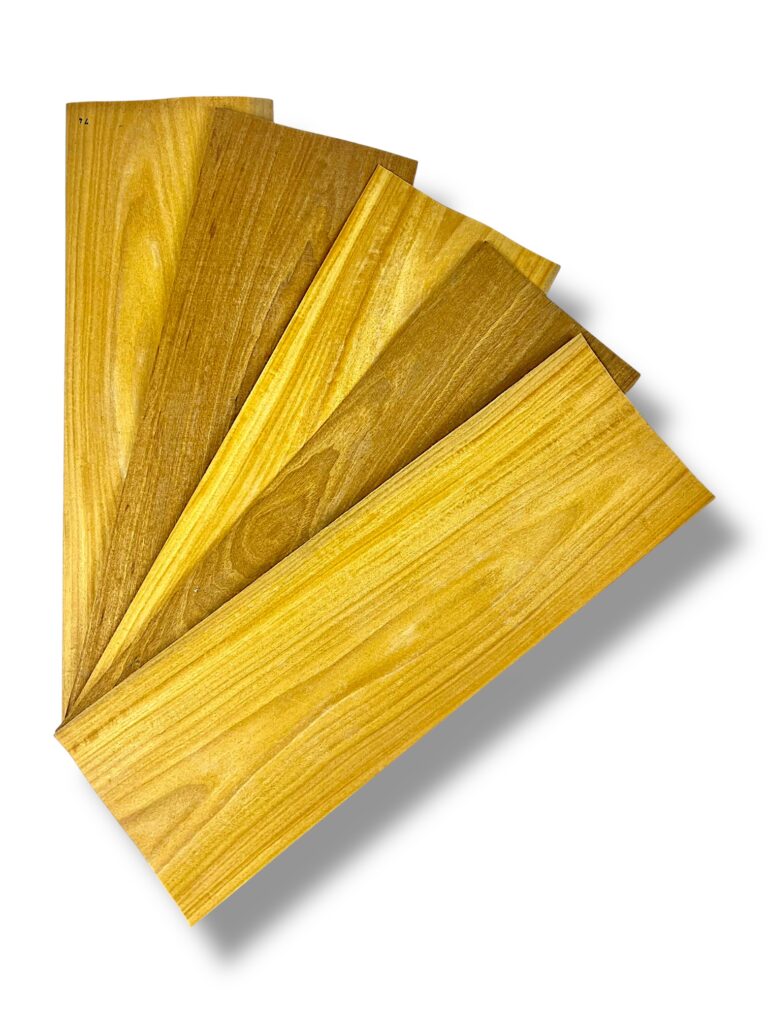 Satinwood
