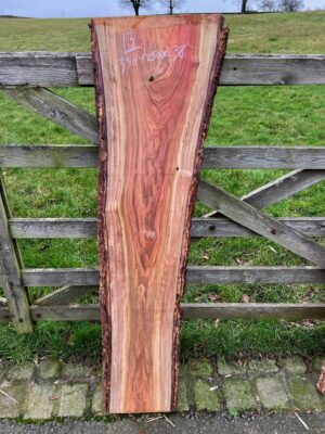 Pink Ivory Number 13 - 1330 x 250 x 38 mm