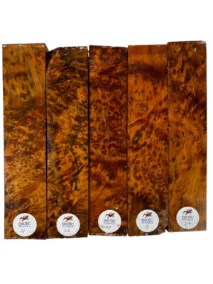 Thuya Burr Woodturning Square