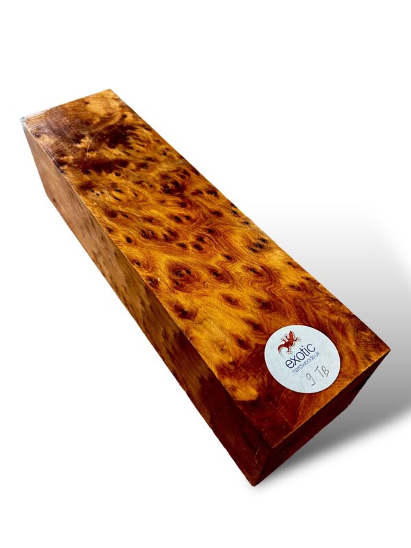 Thuya Burr Woodturning Square
