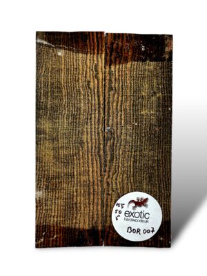 Bocote