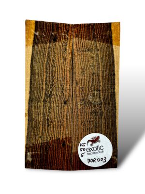Bocote