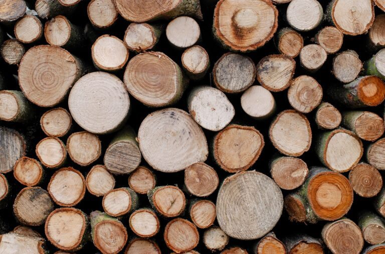 Discover The Finest Hardwood Blanks For Creating Exceptional Pieces Exotic Hardwoods UK