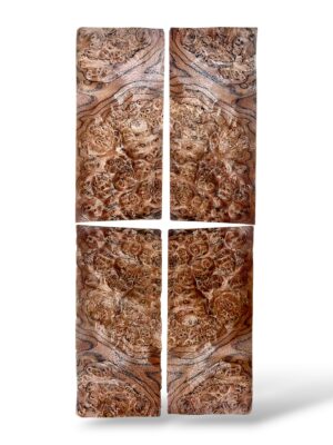 walnut