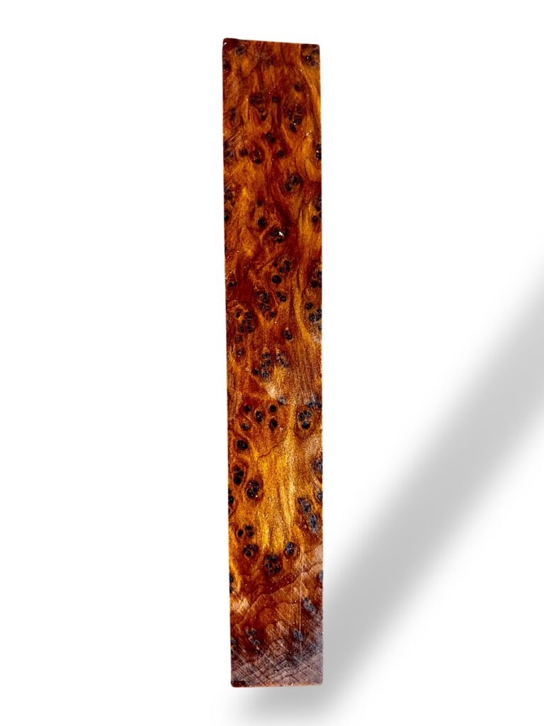 Thuya burr