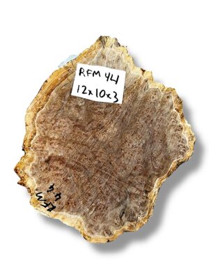 Australian burr