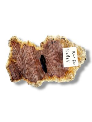Australian burr