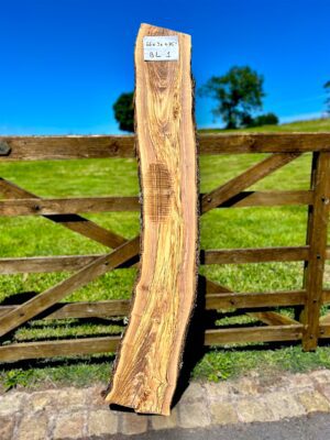 Olivewood
