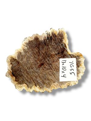 Australian burr
