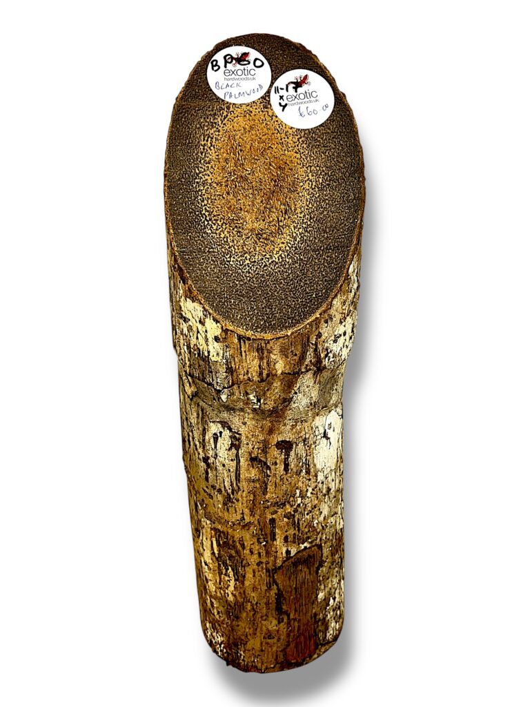 Black Palmwood