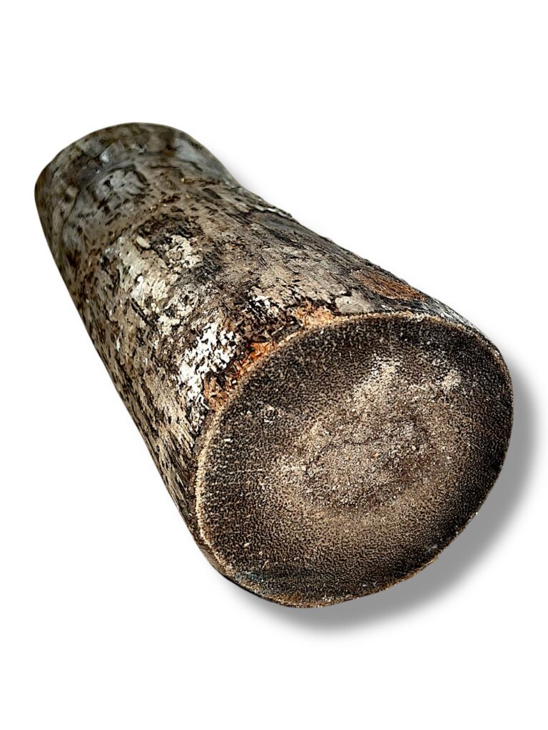 Black Palmwood
