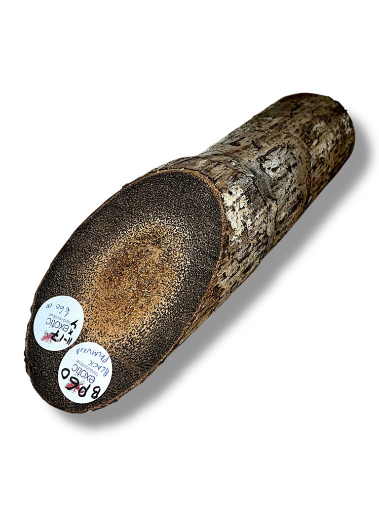 Black Palmwood