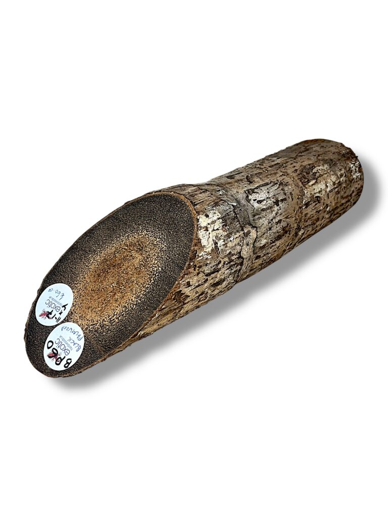 Black Palmwood