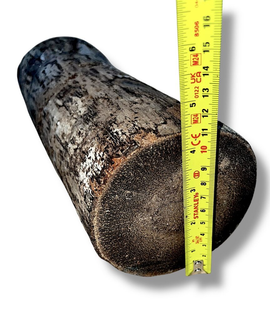 Black Palmwood