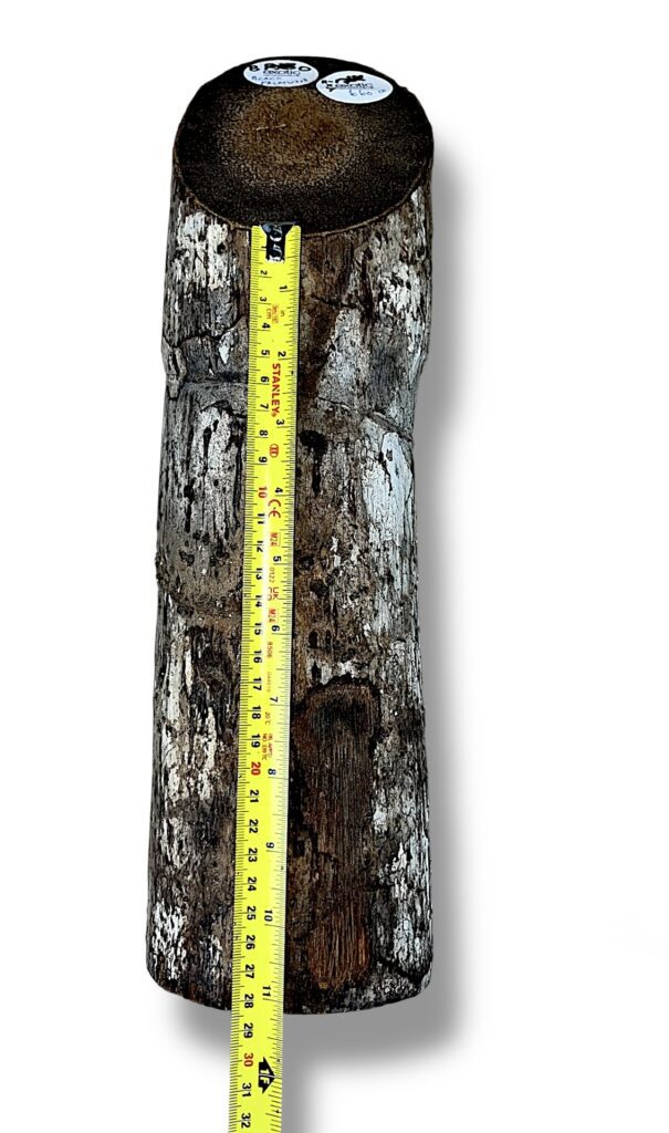 Black Palmwood