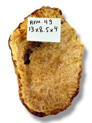 Australian burr