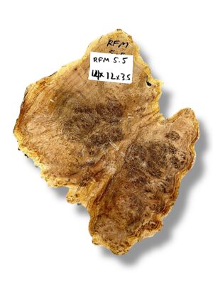 Australian burr