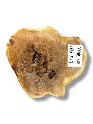 Australian burr