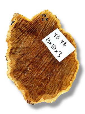 Australian burr