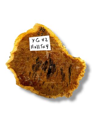 Australian burr