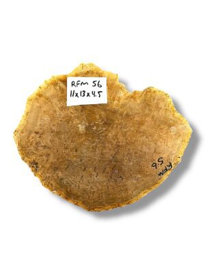 Australian burr