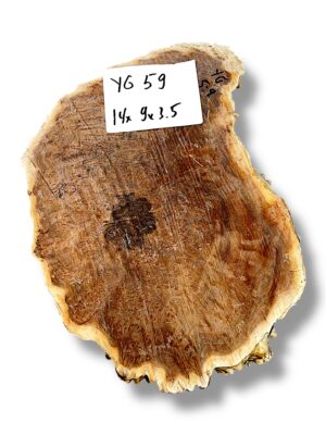 Australian burr