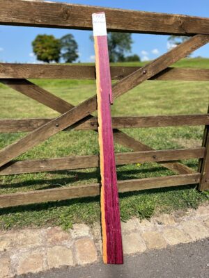 Colombian Purpleheart
