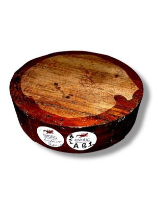 Australian Blackwood