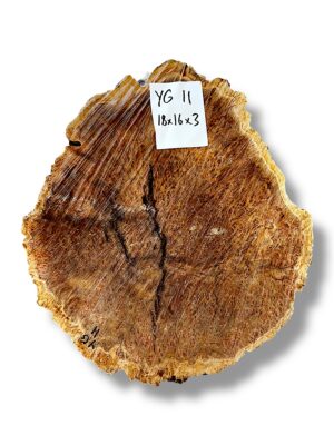 Australian burr