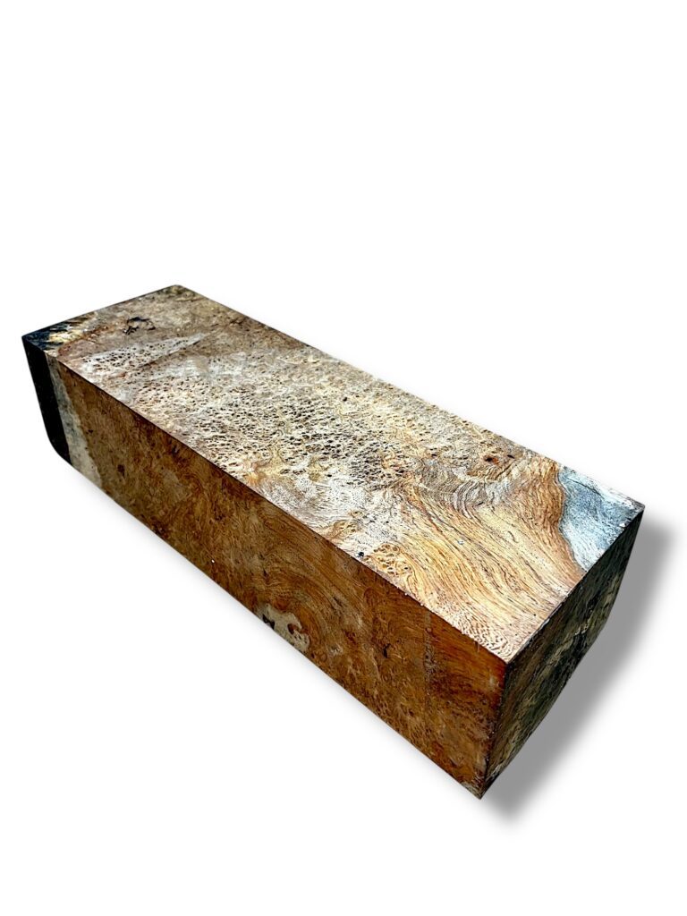 Ambonya Burr