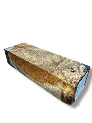 Ambonya Burr