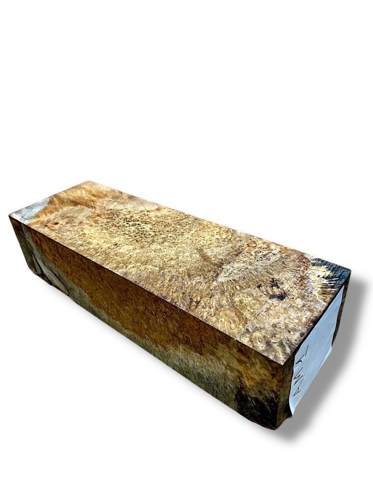 Ambonya Burr