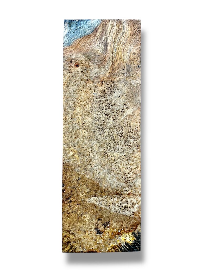 Ambonya Burr