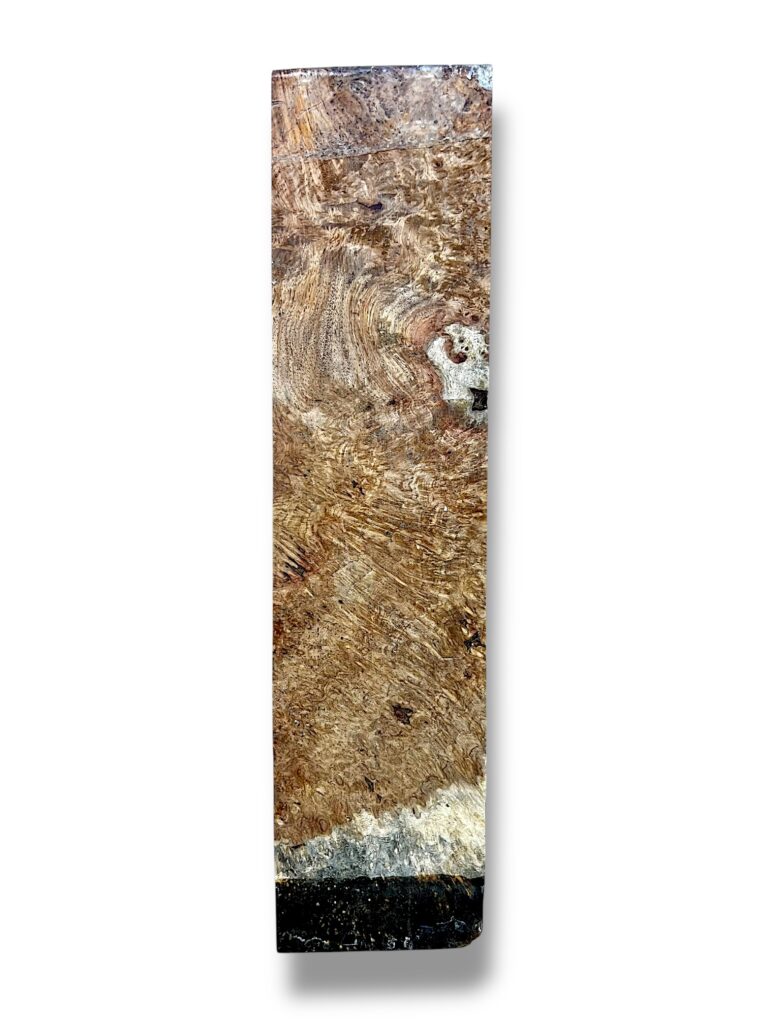 Ambonya Burr