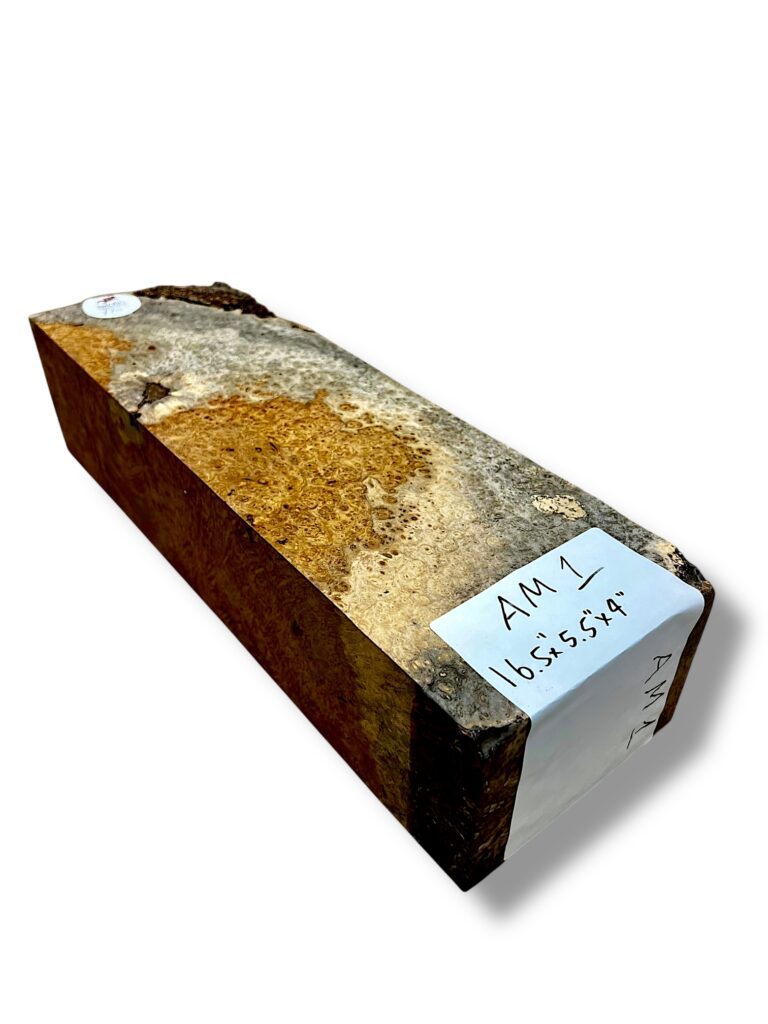 Ambonya Burr