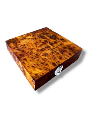 Thuya Burr