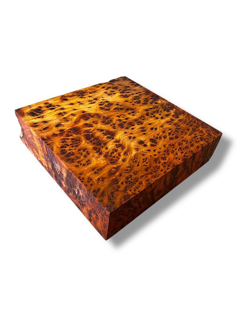Thuya Burr