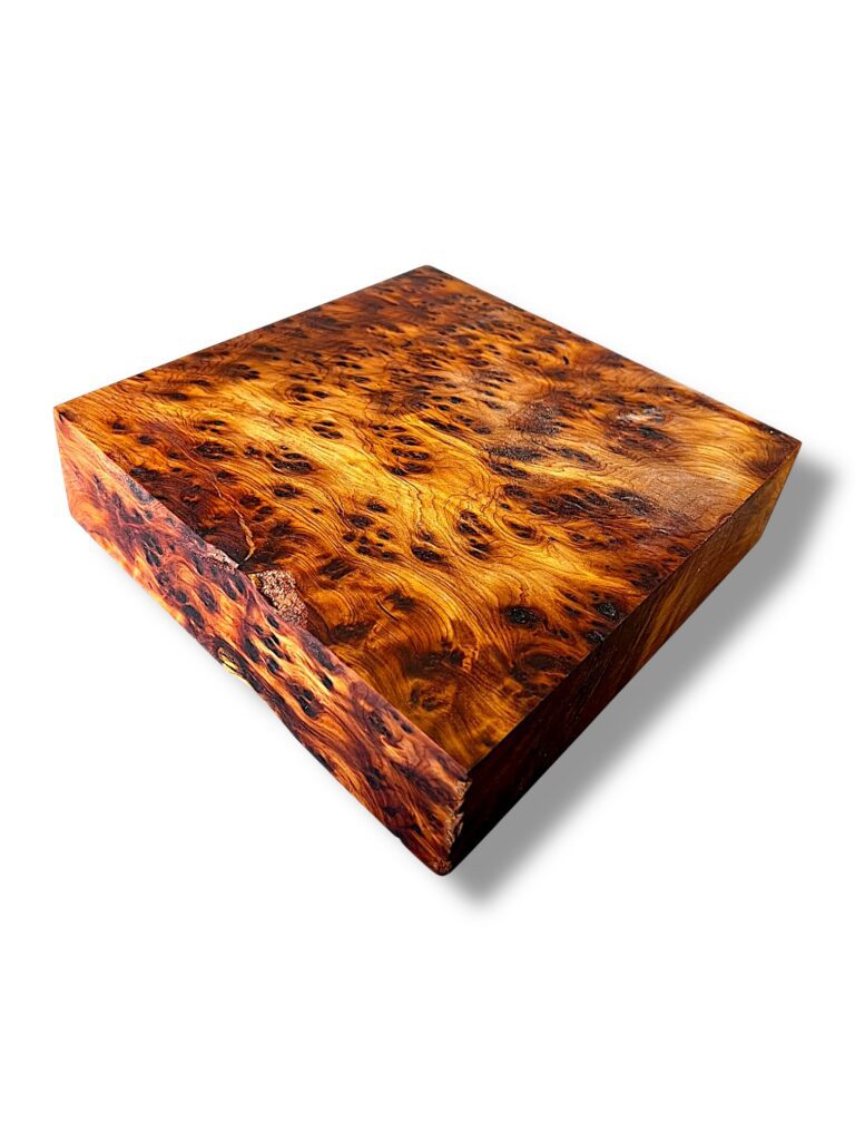 Thuya Burr