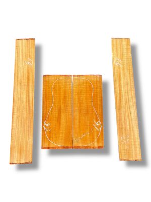 Indian Mahogany