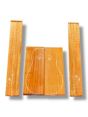 Indian Mahogany