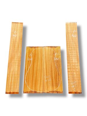 Indian Mahogany