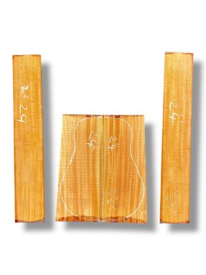 Indian Mahogany