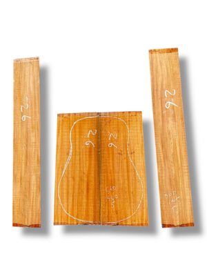 Indian Mahogany