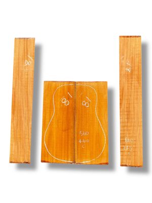 Indian Mahogany