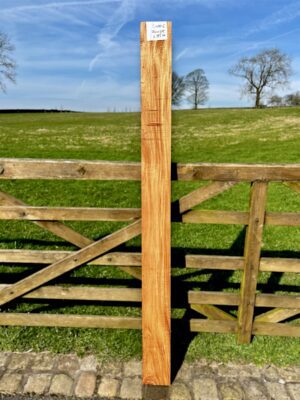 Honduras Mahogany