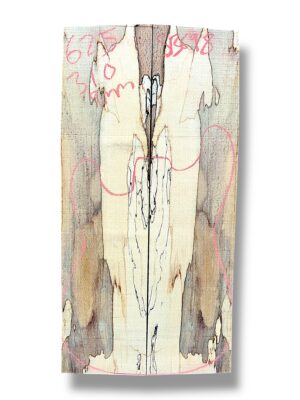 Spalted Beech