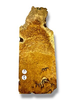 Amboyna Burr