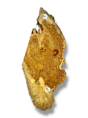 Amboyna Burr