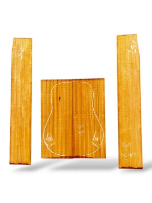 Indian Mahogany