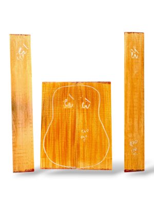 Indian Mahogany